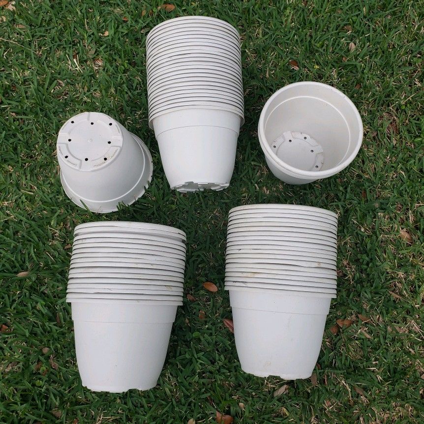 Plastic Plant 1 Gallon Pots - 63 Available 