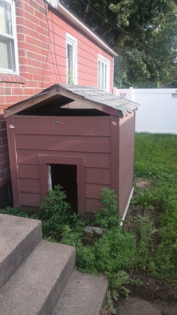 Dog House