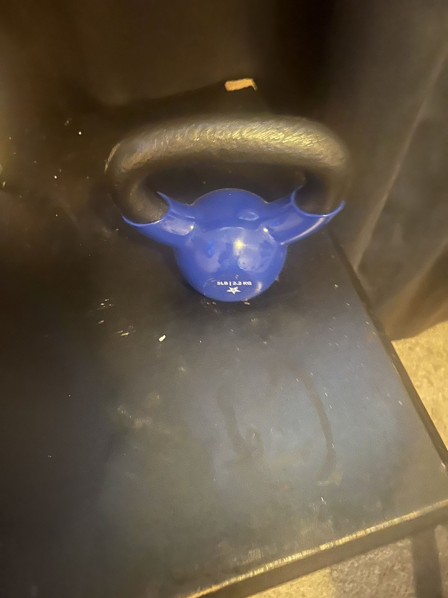 5lb Dumbbell