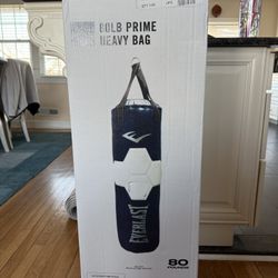 Everlast Punching Bag