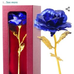 Purple Rose Inbox