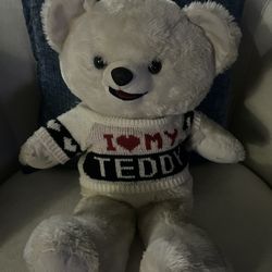 Plush Teddy Bear 