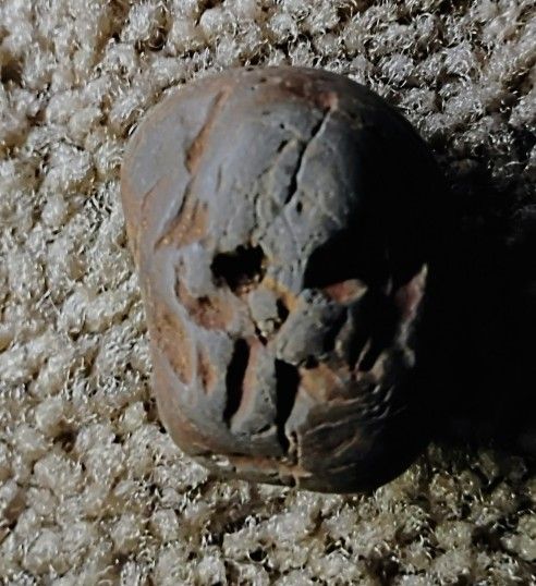 Natural skull stone 