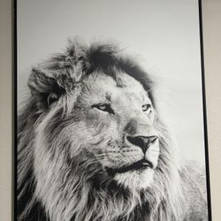 Male Lion Decor 