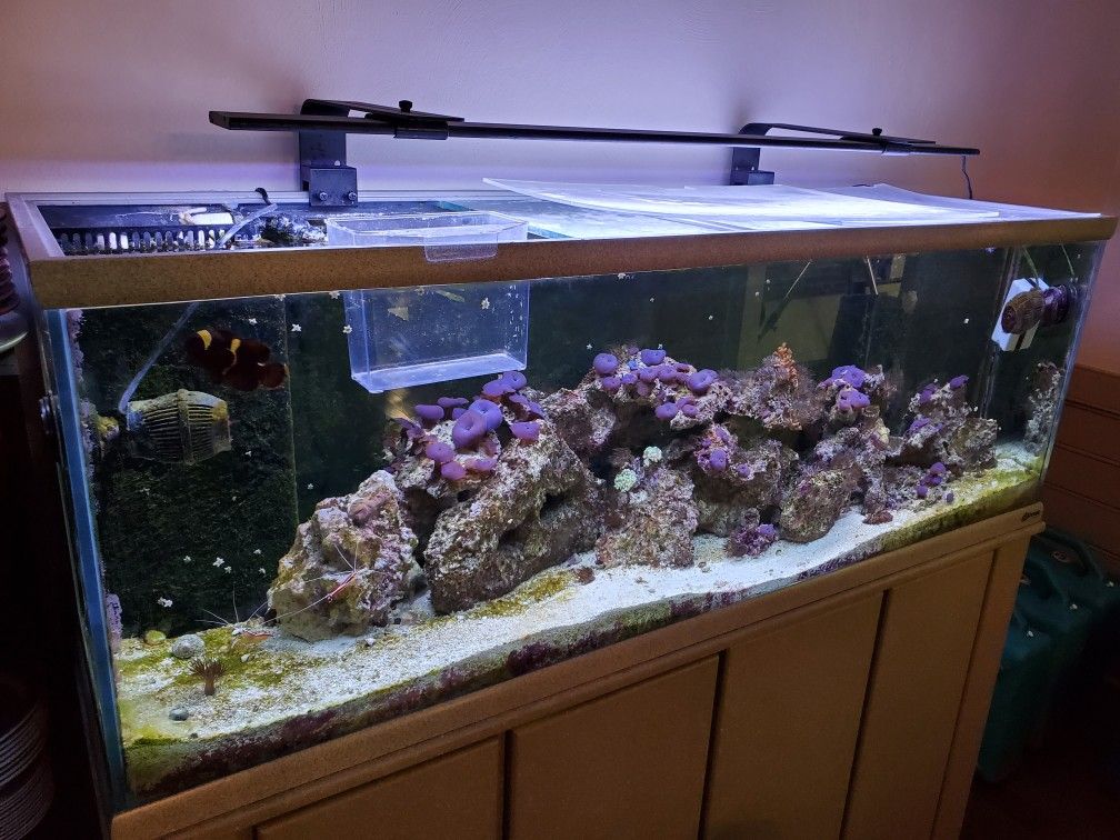 100 Gallon Fish Tank - Tank Only