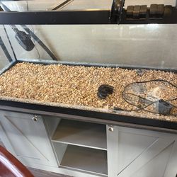 75 gallon fish tank