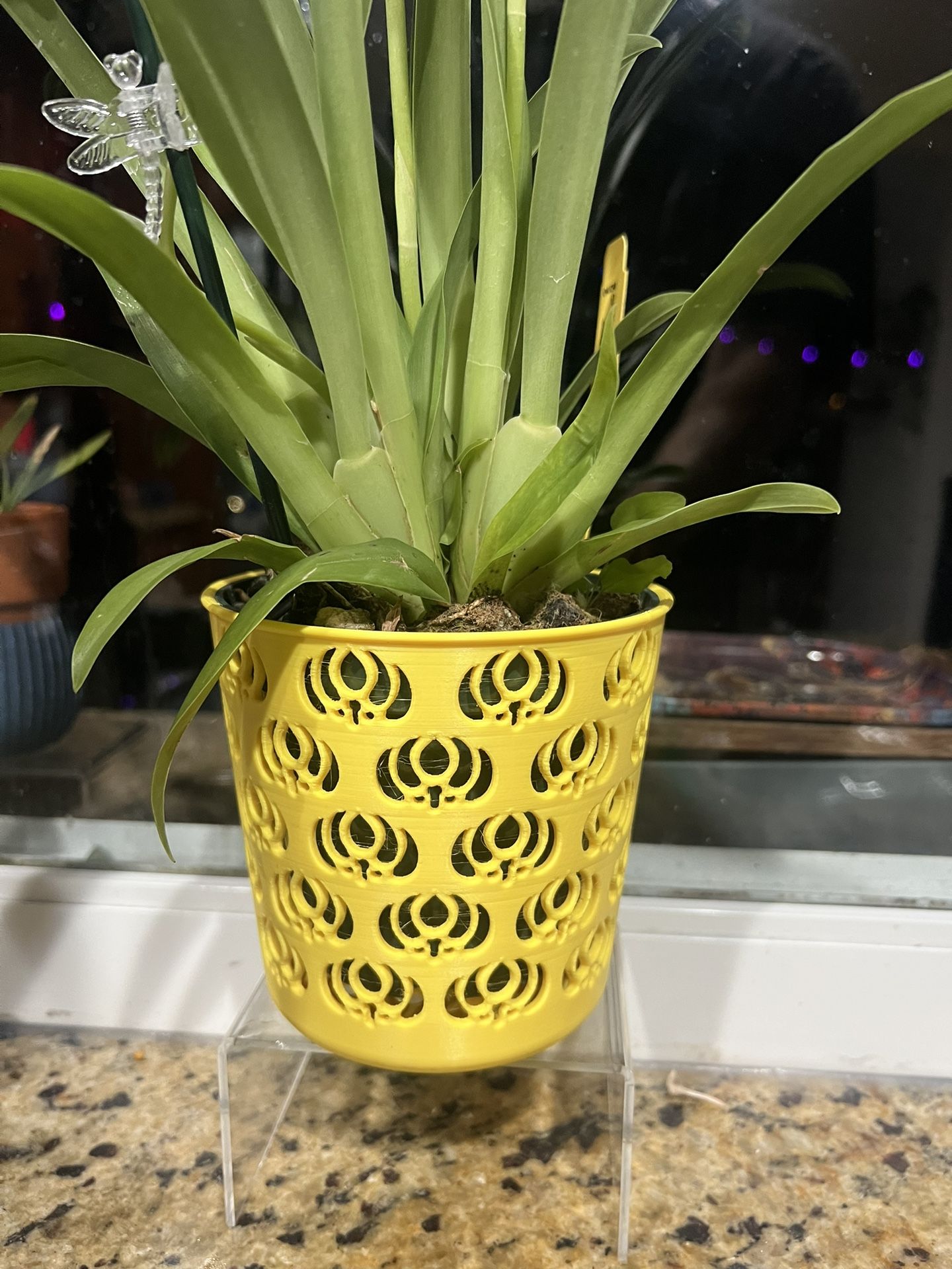 Plant Pots Orchid Pots  Flower Pots 