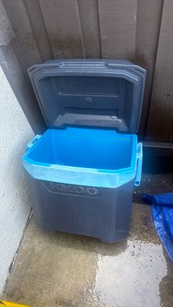 Igloo cooler