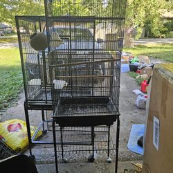 Bird Cages 