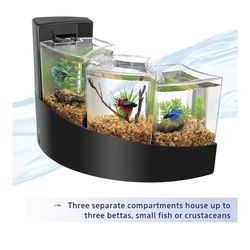 Aquarium Fish Tank