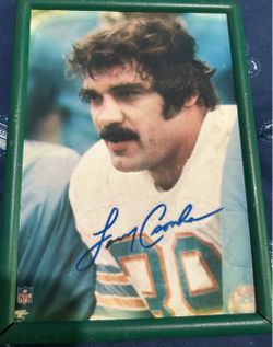 Miami Dolphins player