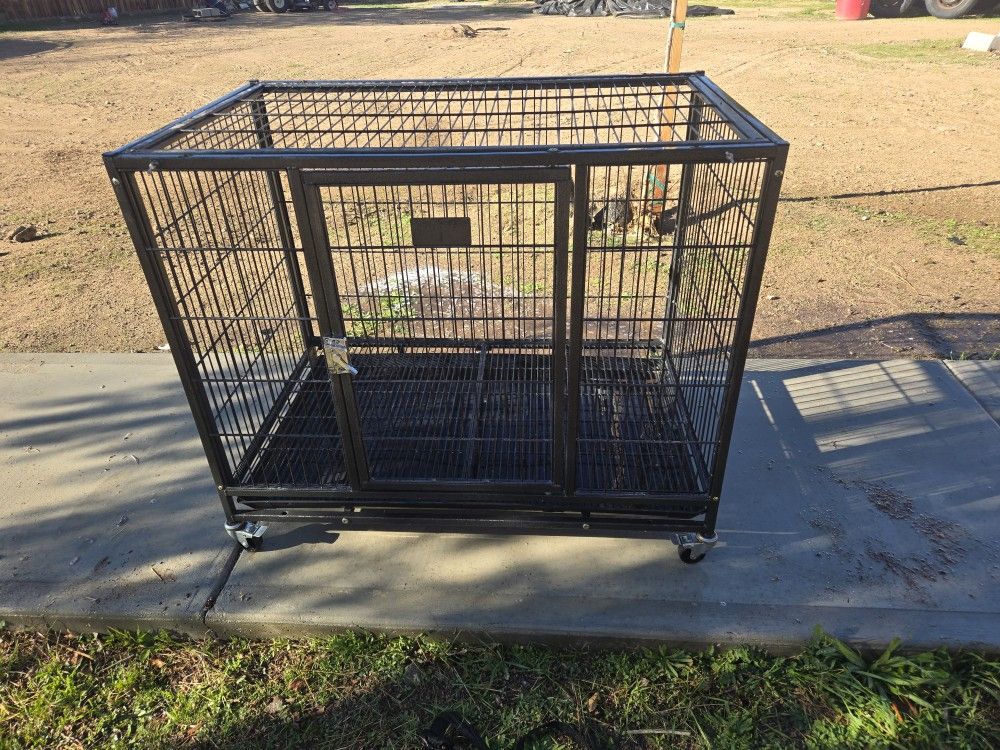 Dog Kennel