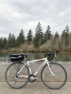 Specialized Allez Road Bike – 52 cm Small Frame Carbon Fork