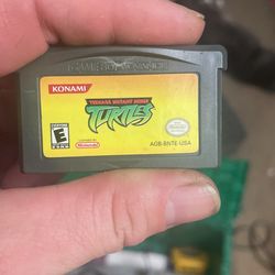 Teenage Mutant Ninja Turtles