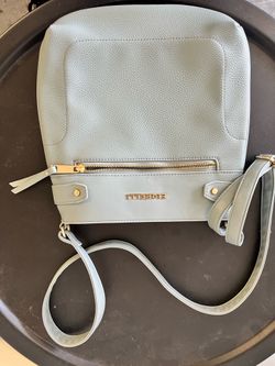 FIORELLI PURSE