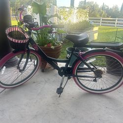 Beach Cruiser Susan Komen