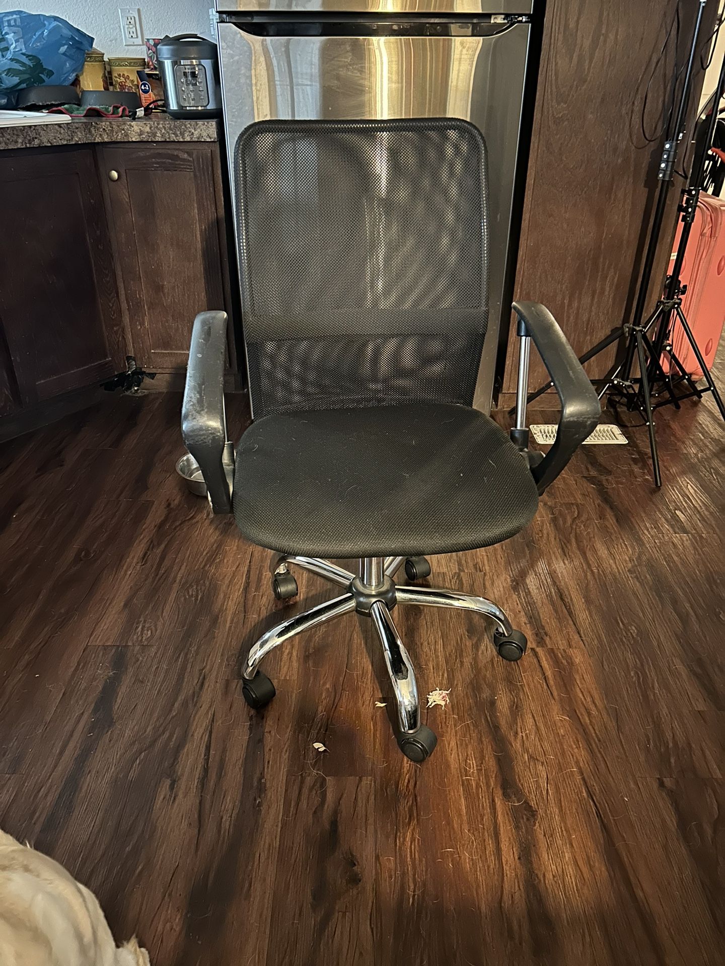 Office/ Desk Chair