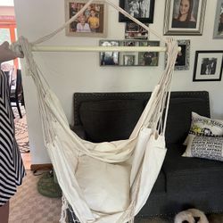 Hanging swing chair