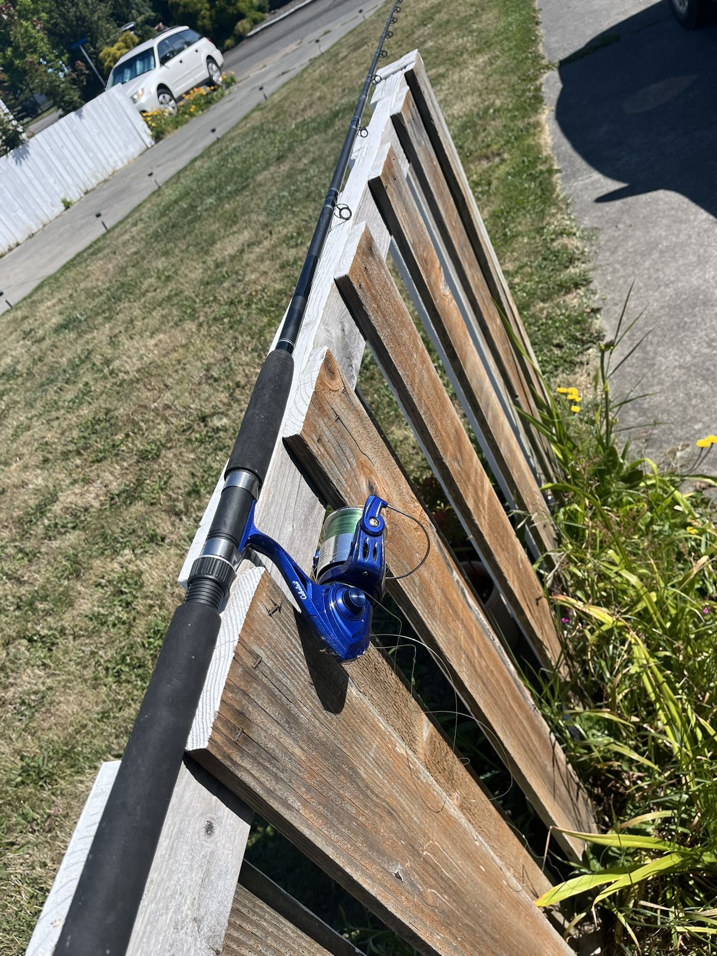 Master Graphic Fishing Rod