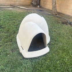 Dog House