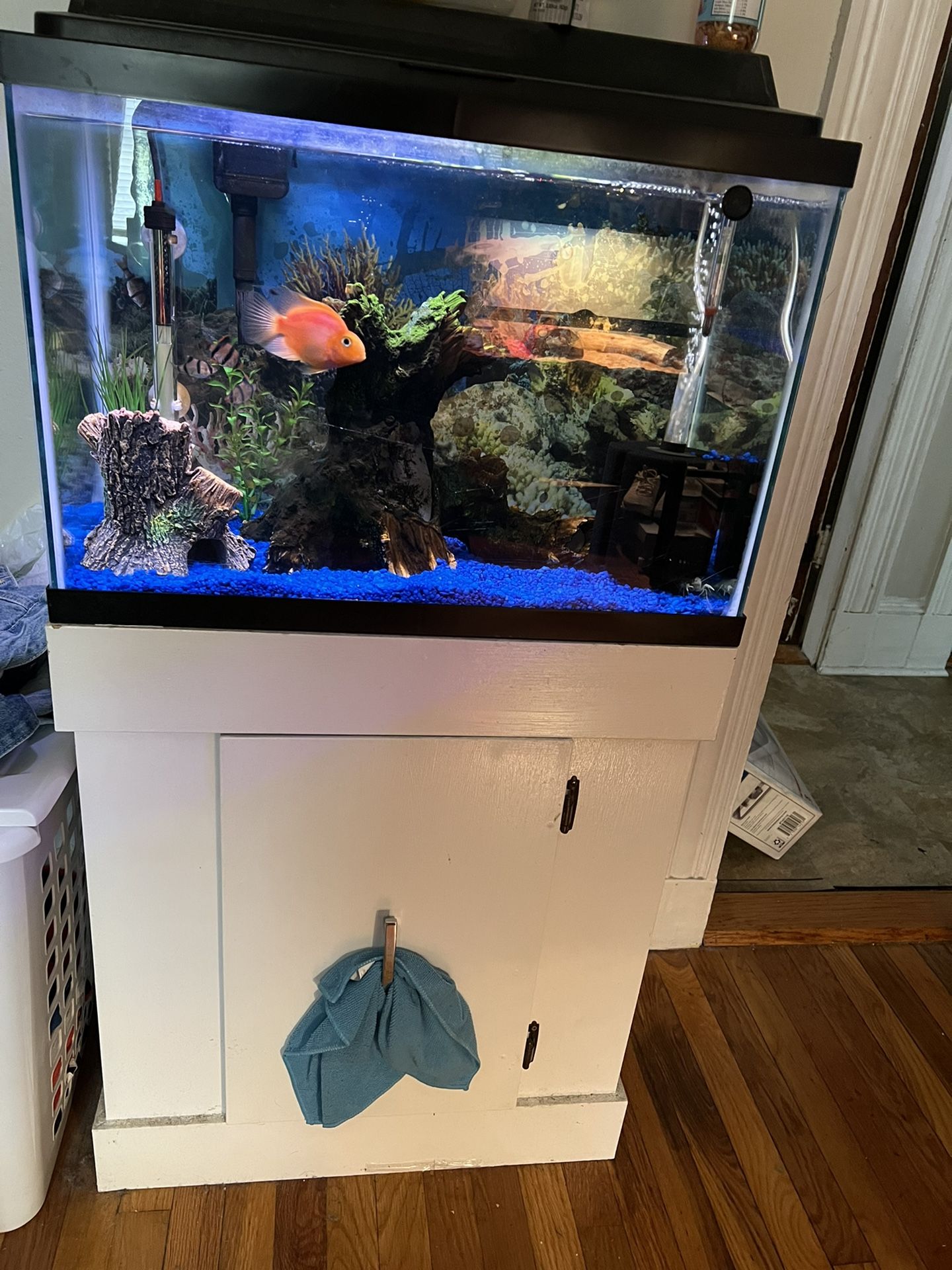 29 Gallon Tank With Stand