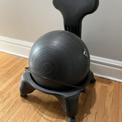 Exercise Ball Computer Chair