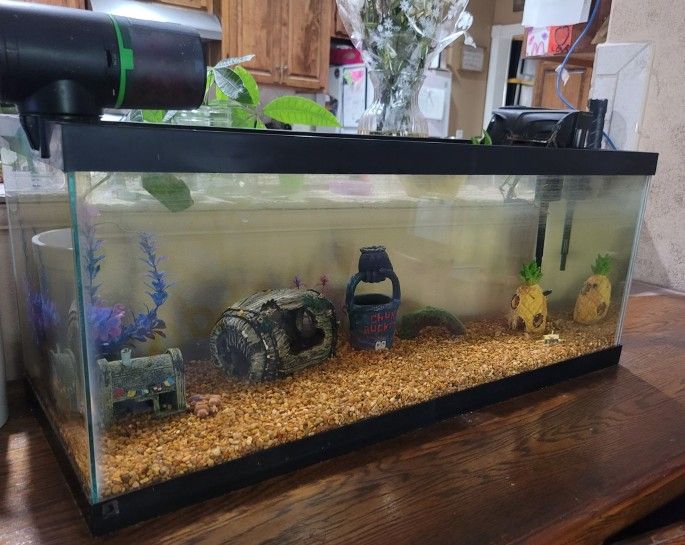 Aquarium Fish Tank And Accessories