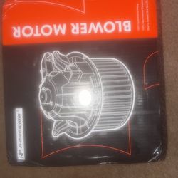 Blower Motor