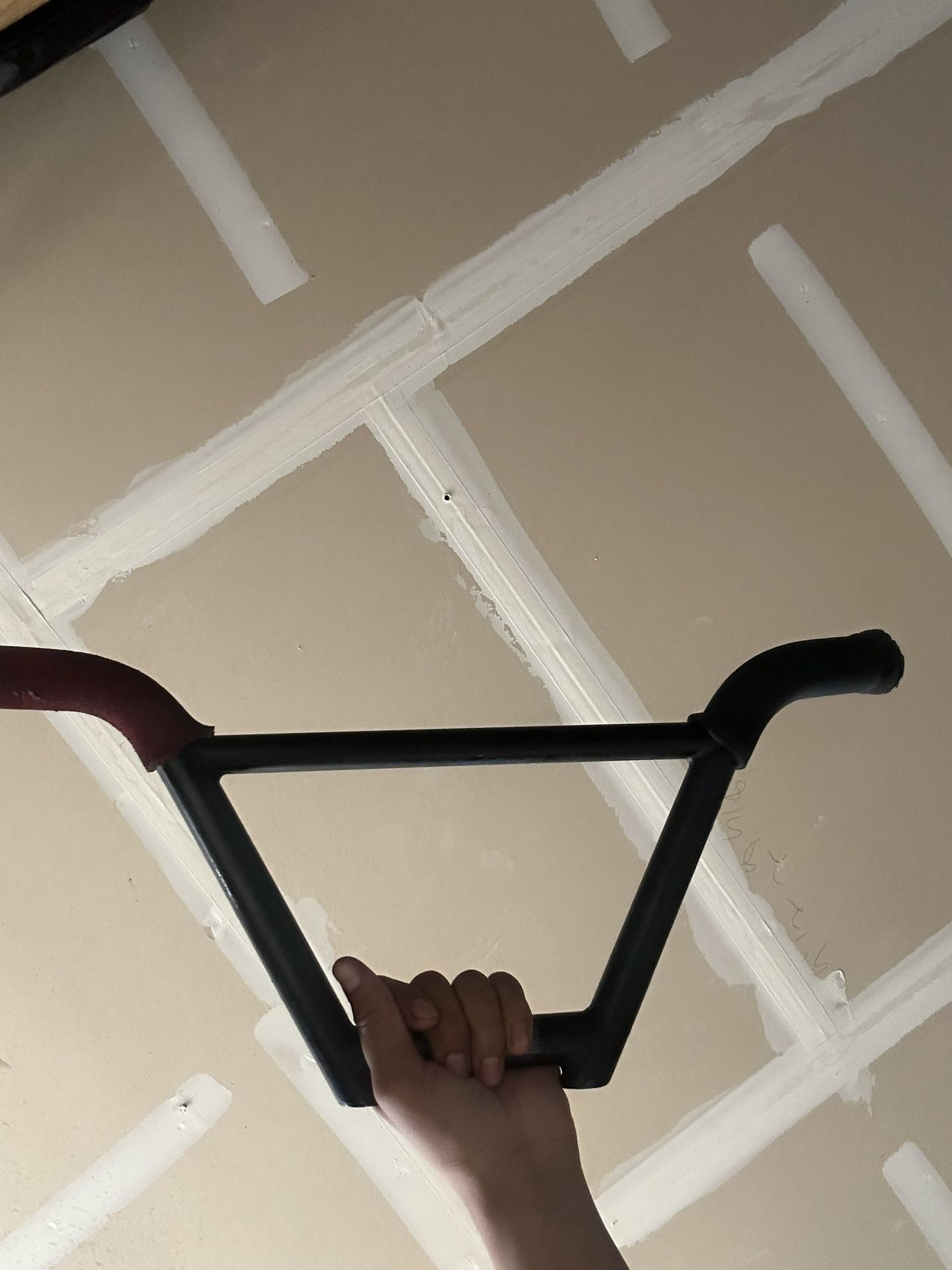 Painted Black 2 Wheel Gang Bars