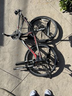Giant Bicycle revel CH17 tires