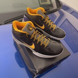 Kobe 4 Carpe Diem Men’s Sz 10