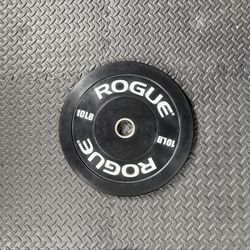 Rogue Echo V2 10 lb plates (pair)