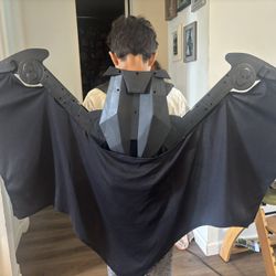 Batman Dark Knight Retractable Wings 