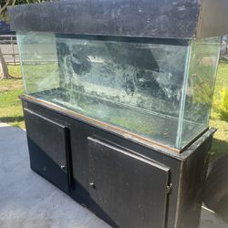 Fish Tank 100 Gallons Free.