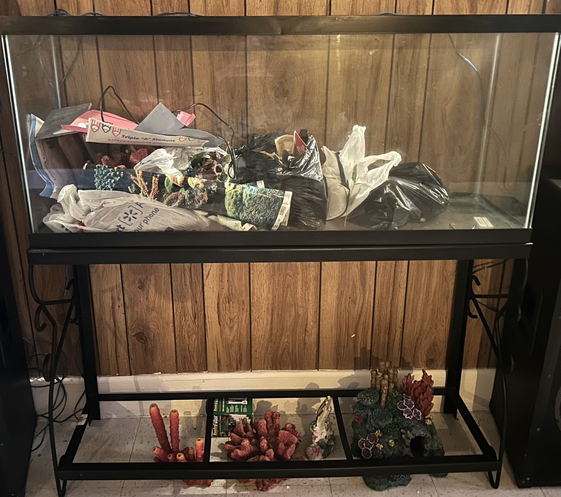 55 Gallon Fish Tank