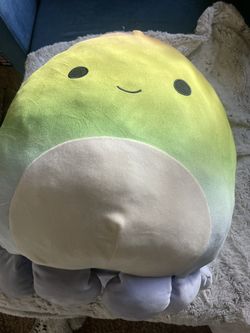 Large Squishmallow 