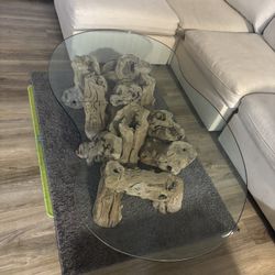 Grape Vine Root Coffee Table