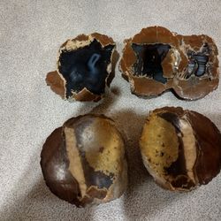 Thunder Eggs