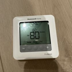 Thermostat Brand New