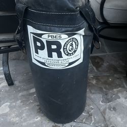 Proboxing Punching Bag 