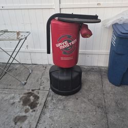 Stand Up Punching Bag And Speed Bag