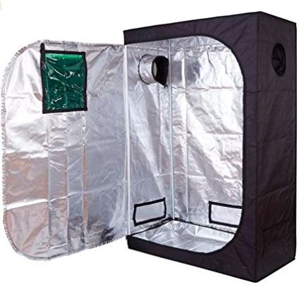 Cannabis Growing Tent