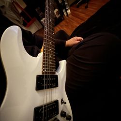 Guitar Lessons