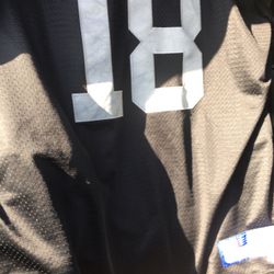 Raiders Moss Jersey