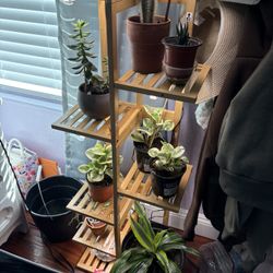 Plant Stand