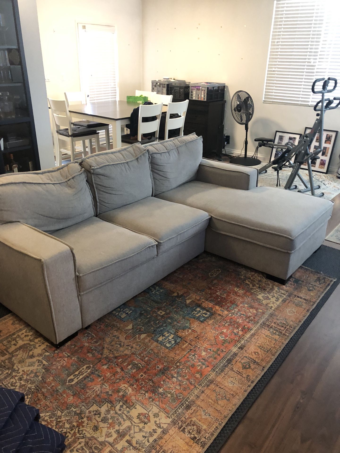 Sleeper Sofa for Sale