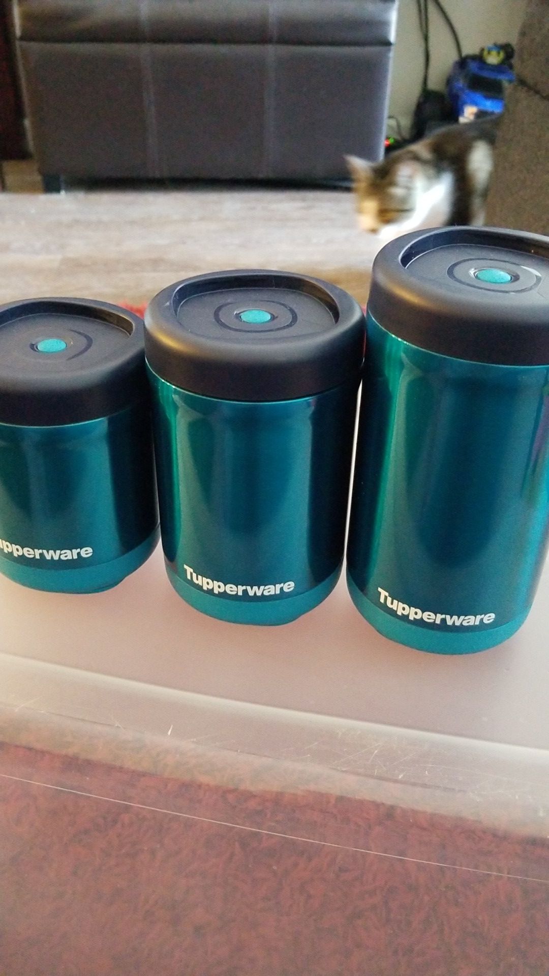 Tupperware Thermal Jars