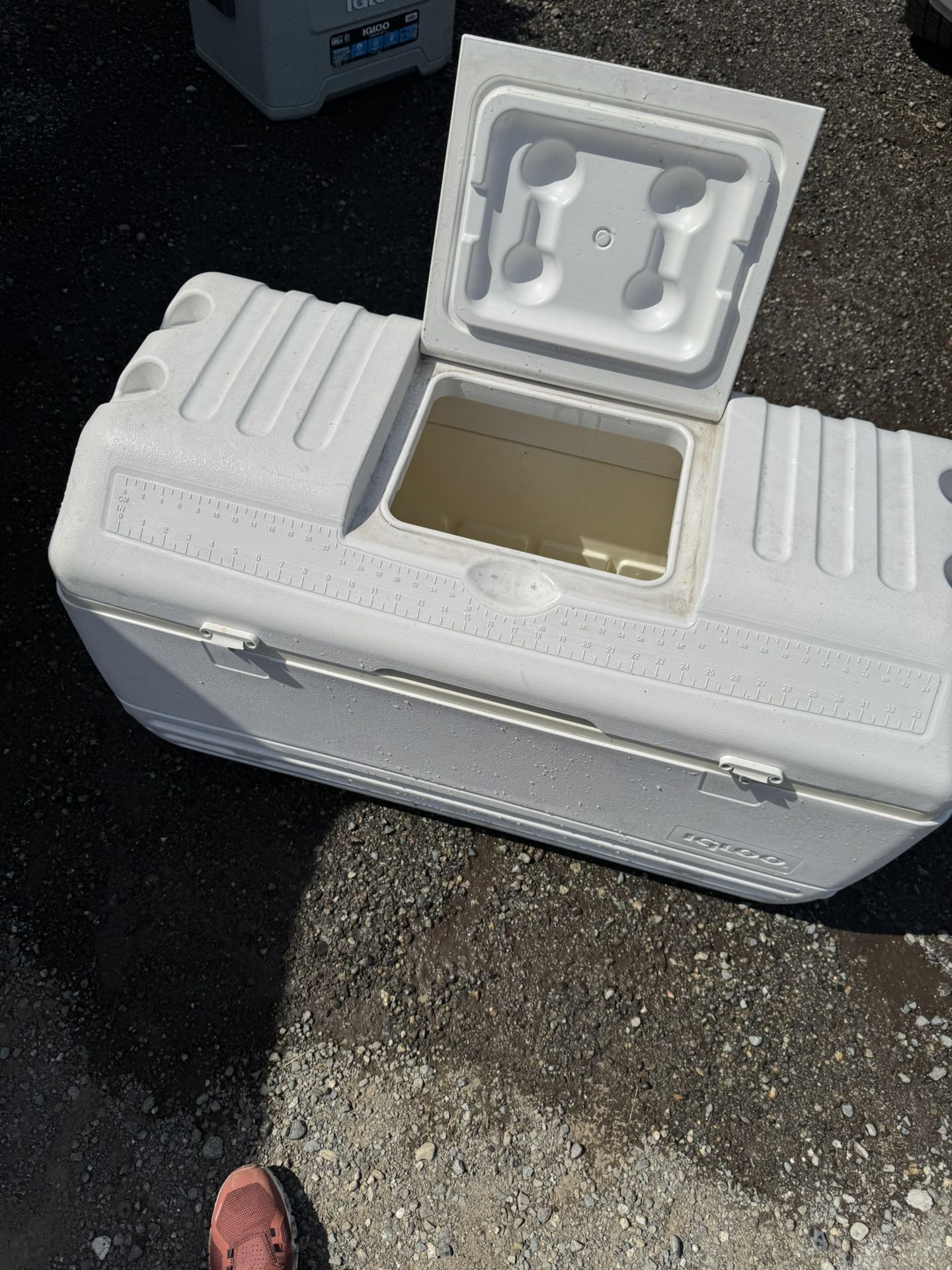 Large Igloo Ice Chest