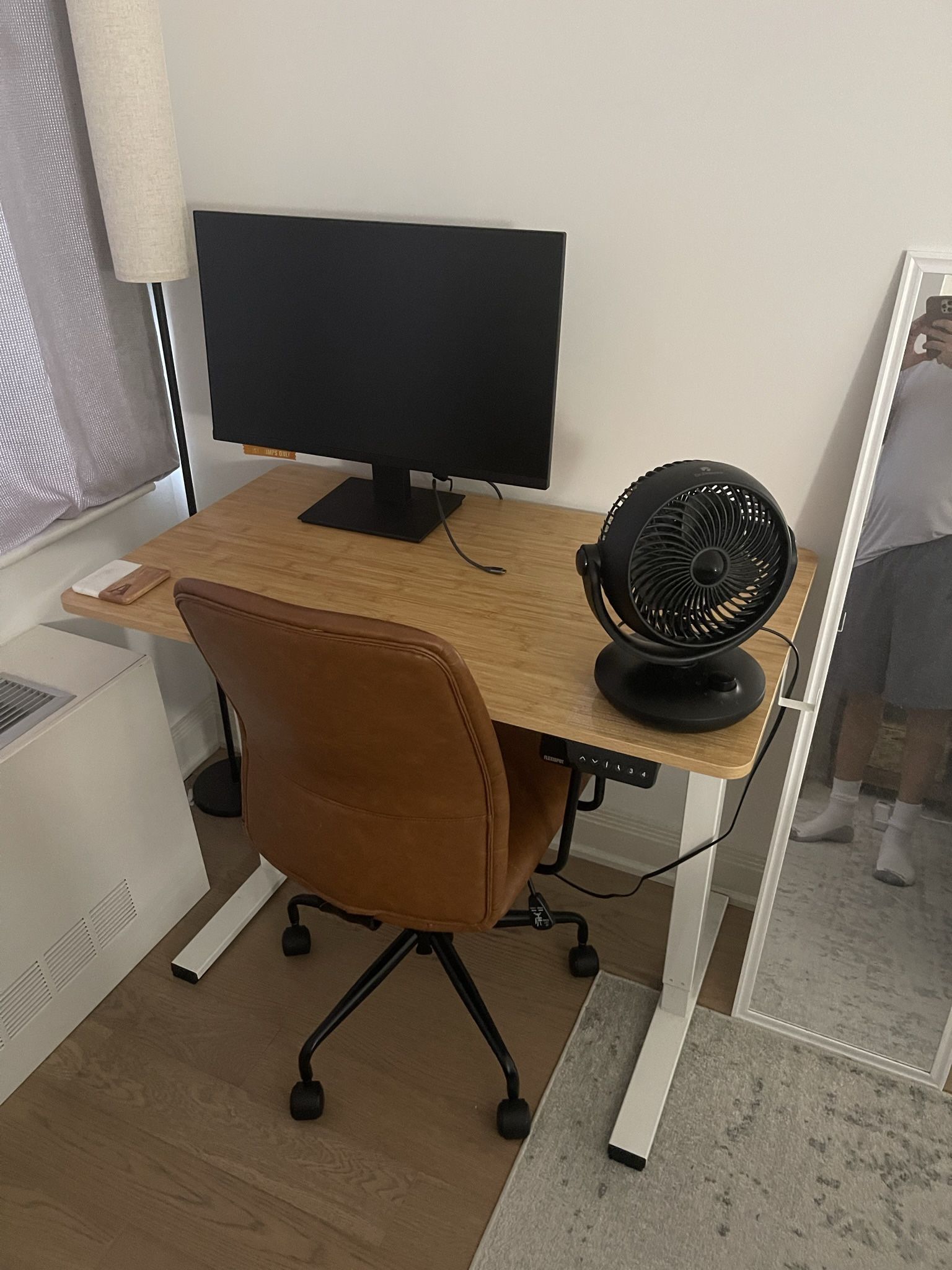 Standing Desk & Monitor