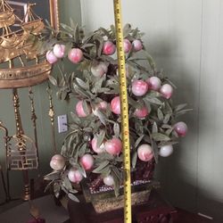 Oriental Big Jade Peach Tree